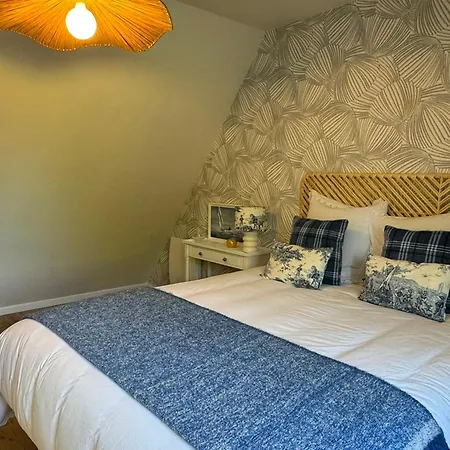 Duplex 2 Pieces Centre-ville Avec Balcon Et Internet Inclus - Fr-1-487-383 Apartman Cabourg