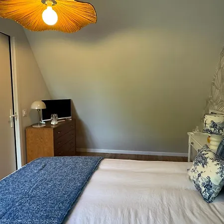 Duplex 2 Pieces Centre-ville Avec Balcon Et Internet Inclus *