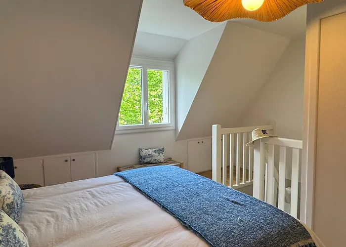 Duplex 2 Pieces Centre-ville Avec Balcon Et Internet Inclus - Fr-1-487-383 Апартаменты *