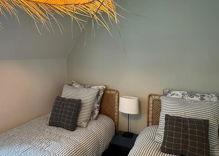 Duplex 2 Pieces Centre-ville Avec Balcon Et Internet Inclus - Fr-1-487-383 Apartment